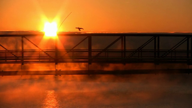 跨湖大桥。日出。雾。视频下载