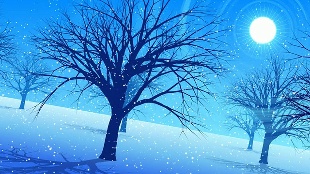 雪地上的树木视频素材
