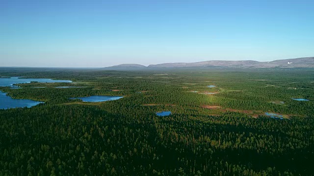 鸟瞰图蓝色的湖泊和绿色的森林在一个阳光明媚的夏天在芬兰。视频素材