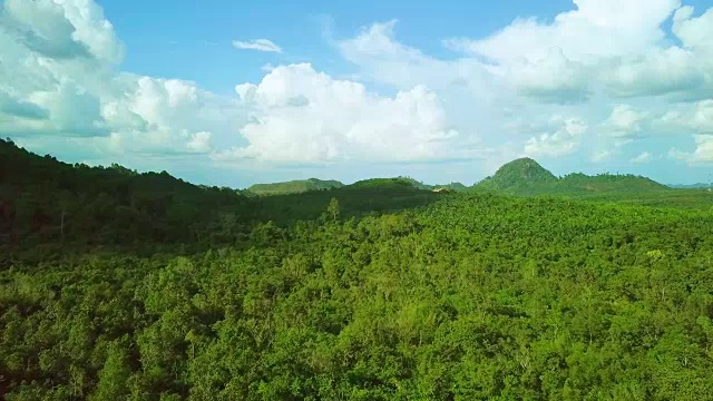 航拍热带森林视频购买