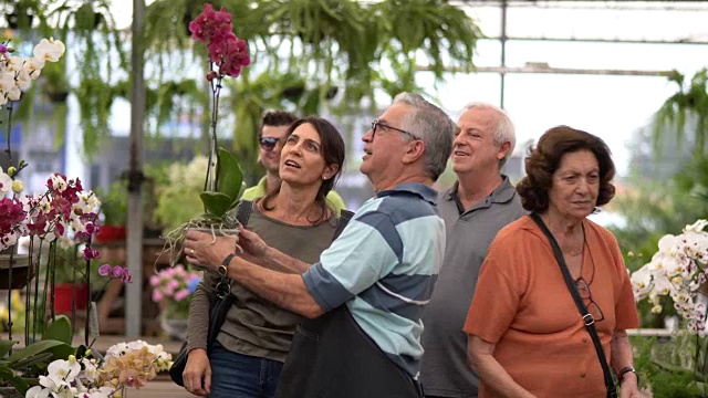 家庭植物店与花卉市场售货员视频素材