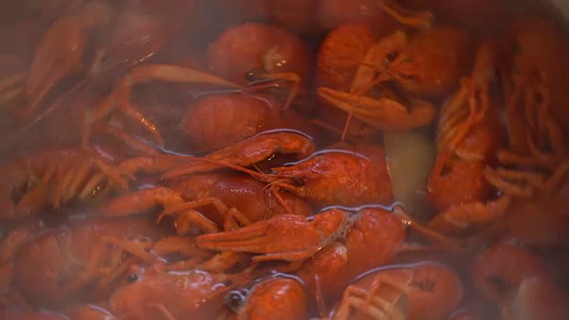 在平底锅上拍摄红煮小龙虾的特写镜头视频下载