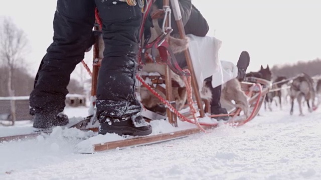 SLO MO狗在雪中拉雪橇视频素材