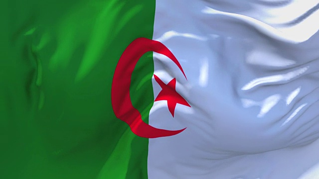 阿尔及利亚国旗迎风飘扬的慢动作动画。4K逼真的织物纹理旗帜平稳吹在一个刮风的日子连续无缝循环背景。视频下载