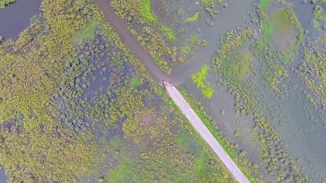 航拍俯视图的道路通过淹没的田野，热带湖泊在雨季视频素材