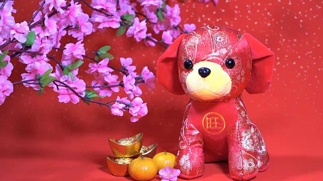 中国传统布娃娃狗，2018年是狗年视频素材