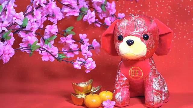 中国传统布娃娃狗，2018年是狗年视频素材