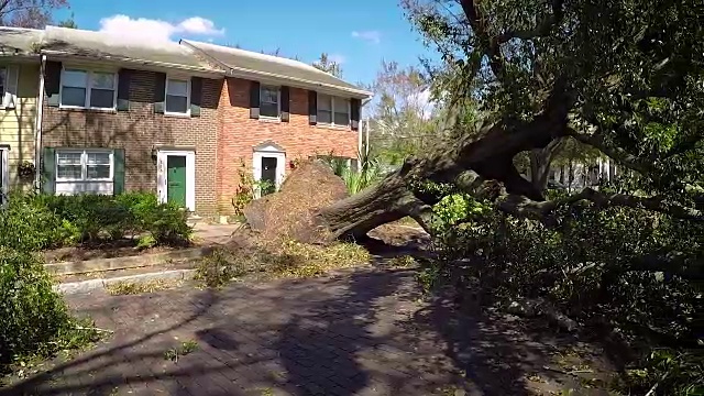 佛罗伦萨飓风之后视频素材