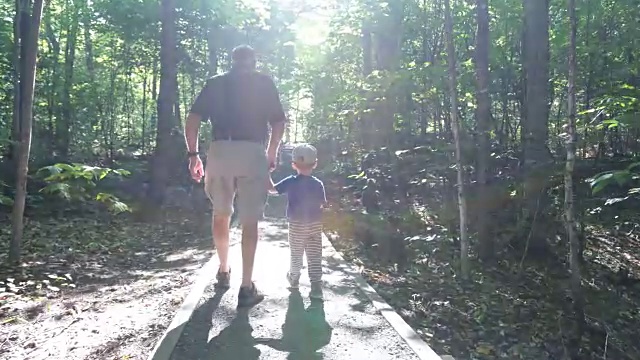 祖父和儿子在徒步小径上探索森林视频素材
