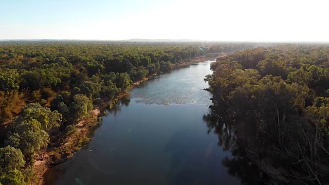 澳大利亚达尔文茂密森林中一条河流的鸟瞰图视频素材