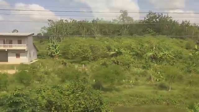 从列车运行窗口可以看到油棕榈园和橡胶园视频素材