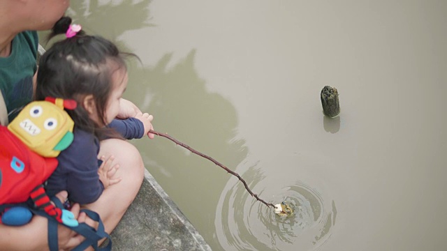 亚洲年轻的母亲和年轻的父亲和她可爱的两岁的女儿在户外玩耍，用食物喂鱼和乌龟。家庭观念，爱自然。幸福的孩子有父母的爱。视频素材