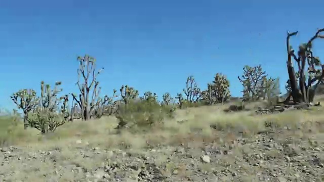 驾驶高速公路通过亚利桑那州和内华达州POV视频素材