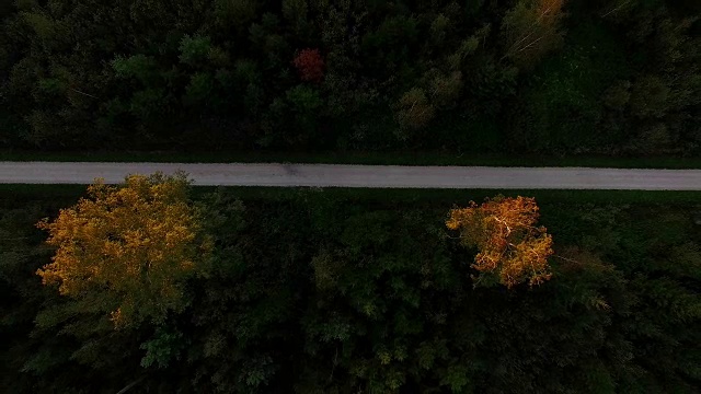 鸟瞰图:秋天的巴伐利亚森林视频素材