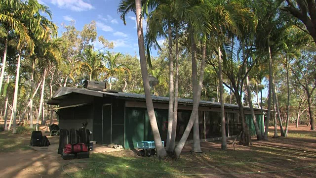 棕榈树和小屋，北领地，澳大利亚。编辑只使用。视频下载