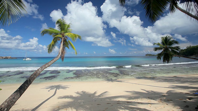 美丽的海滩和棕榈树视频素材