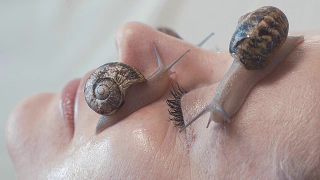 一名女性脸上的蜗牛微距视频。蜗牛黏液能使皮肤恢复活力视频下载