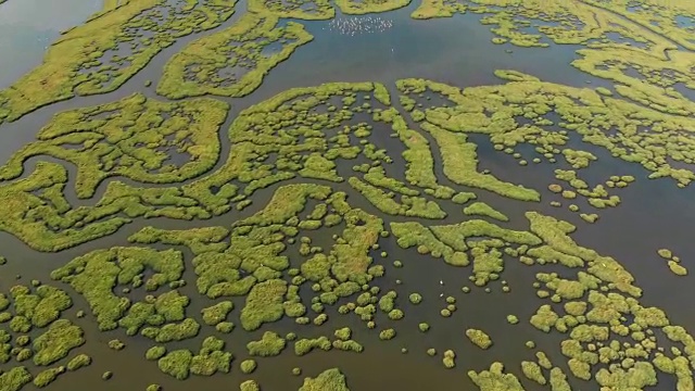 湿地鸟瞰图视频素材