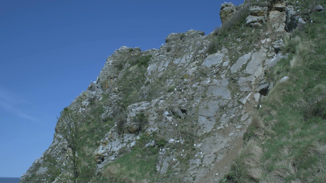 从悬崖到遥远的火山，阿拉斯加，2009年视频下载