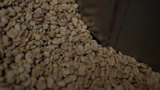 对咖啡豆进行分类和分级视频下载