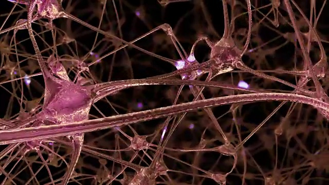 通过大脑中的神经元细胞和突触网络，电脉冲和放电通过这些网络视频素材