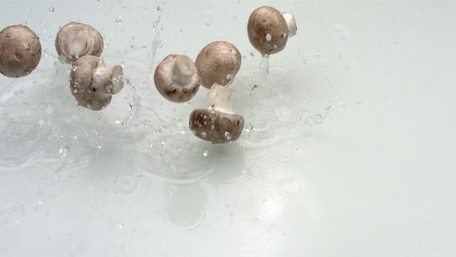 蘑菇飞溅入水中，慢动作视频素材