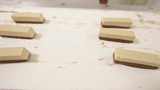 巧克力涂层传送带上的糖果视频素材