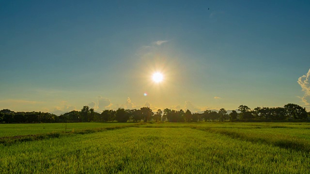 稻田和日落，4K时间流逝。视频素材