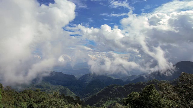 热带雨林的树木，云的诞生视频素材