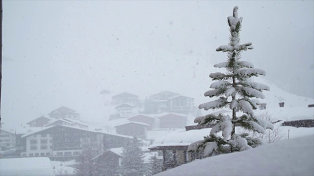 冬天，村子附近的一棵树上下雪了。——慢动作视频下载