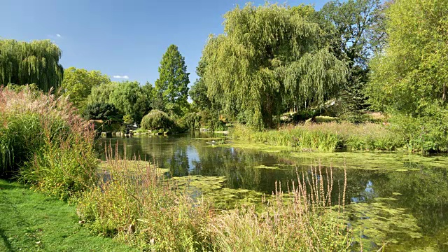池塘在伦敦摄政公园玛丽皇后花园部分视频下载