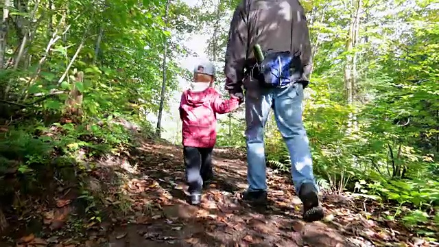秋天，爷爷和儿子在森林徒步旅行视频素材