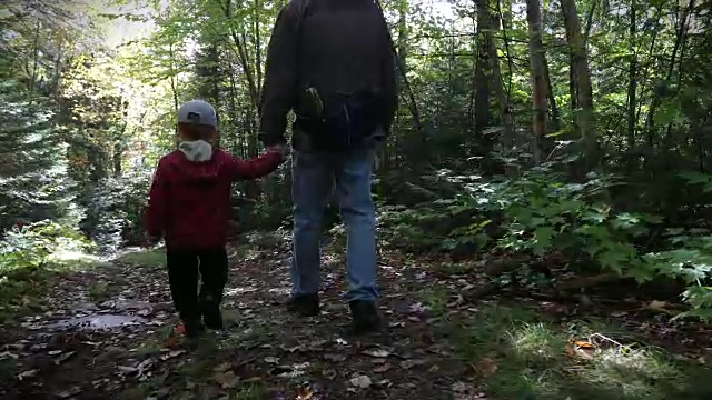 秋天，爷爷和儿子在森林徒步旅行视频素材