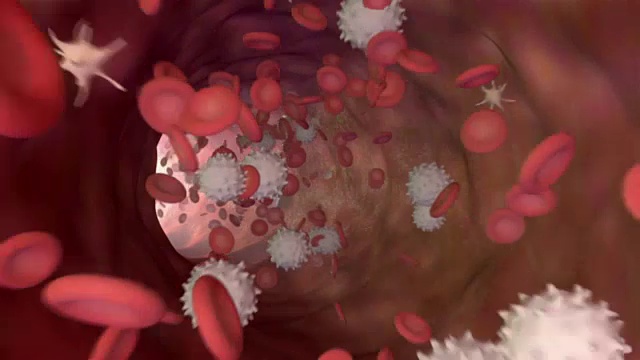 三维动画血流与红细胞，白细胞和血小板视频下载