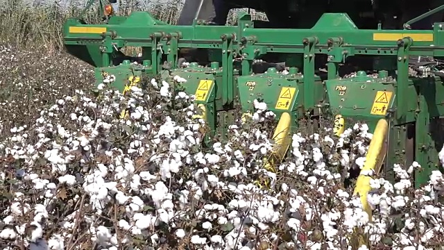 在棉花收获过程中，在棉花收割机上拍摄。250帧/秒慢动作视频素材
