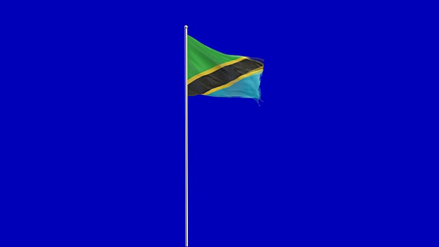 坦桑尼亚国旗上升视频下载