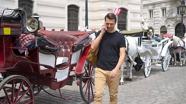 游客在维也纳漫步，欣赏马车上的骏马视频素材