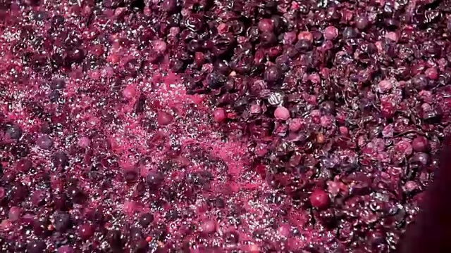 发酵过程中的葡萄酒混合视频素材