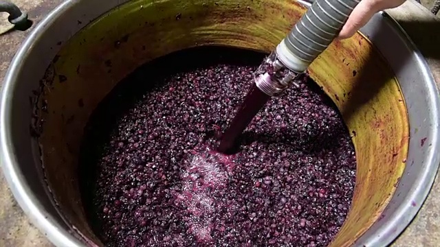 发酵过程中的葡萄酒混合视频素材