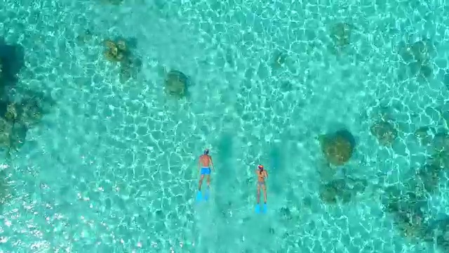 无人机拍摄的一对男女在热带岛屿周围浮潜游泳。视频下载