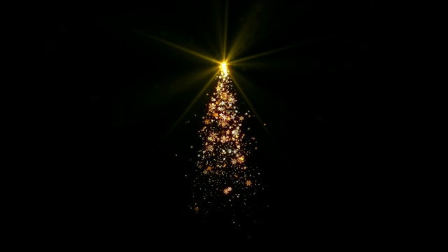 圣诞树用雪花，星星和雪花落在黑色的背景圈装饰或覆盖视频素材
