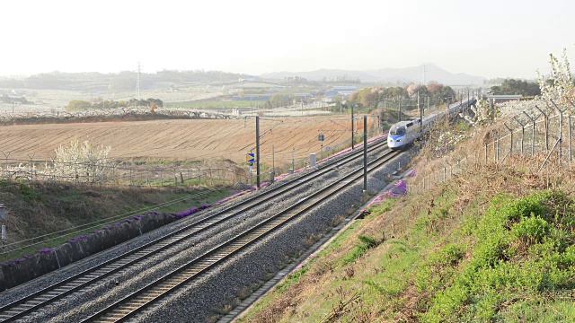 KTX(韩国火车特快)列车在峨山市京畿道高速铁路上经过梨树视频素材