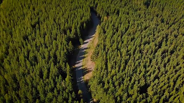 蜿蜒山路(鸟瞰图)视频素材