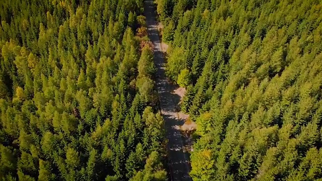 蜿蜒山路(鸟瞰图)视频素材