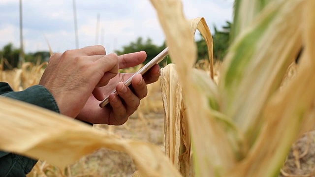农民利用技术开发玉米田视频下载