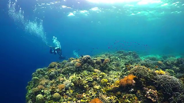 潜水推进装置(DPV) /保和岛，菲律宾视频素材