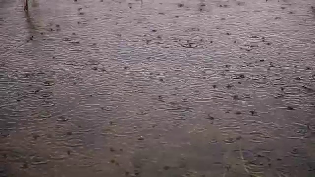 雨滴落在水中视频下载