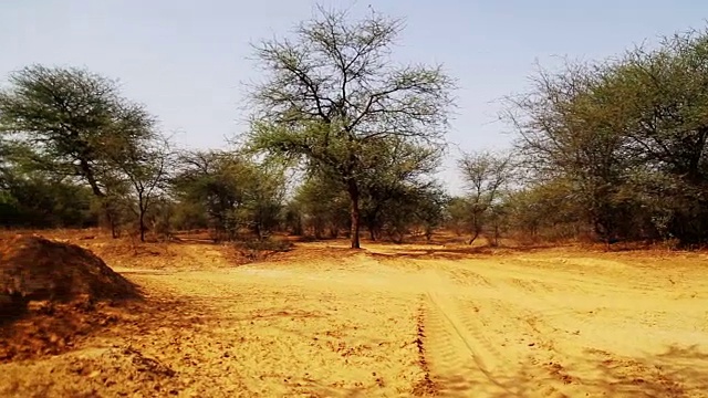 一个不知名的人在沙漠中行走视频素材