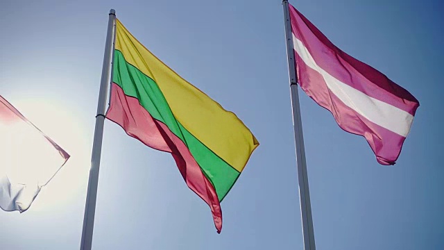 拉脱维亚和立陶宛共和国国旗。视频素材