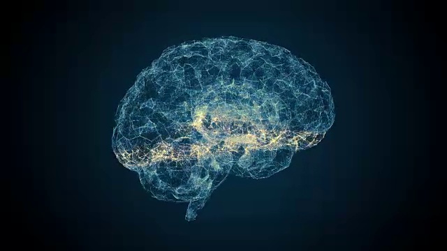 人类的大脑扫描视频下载